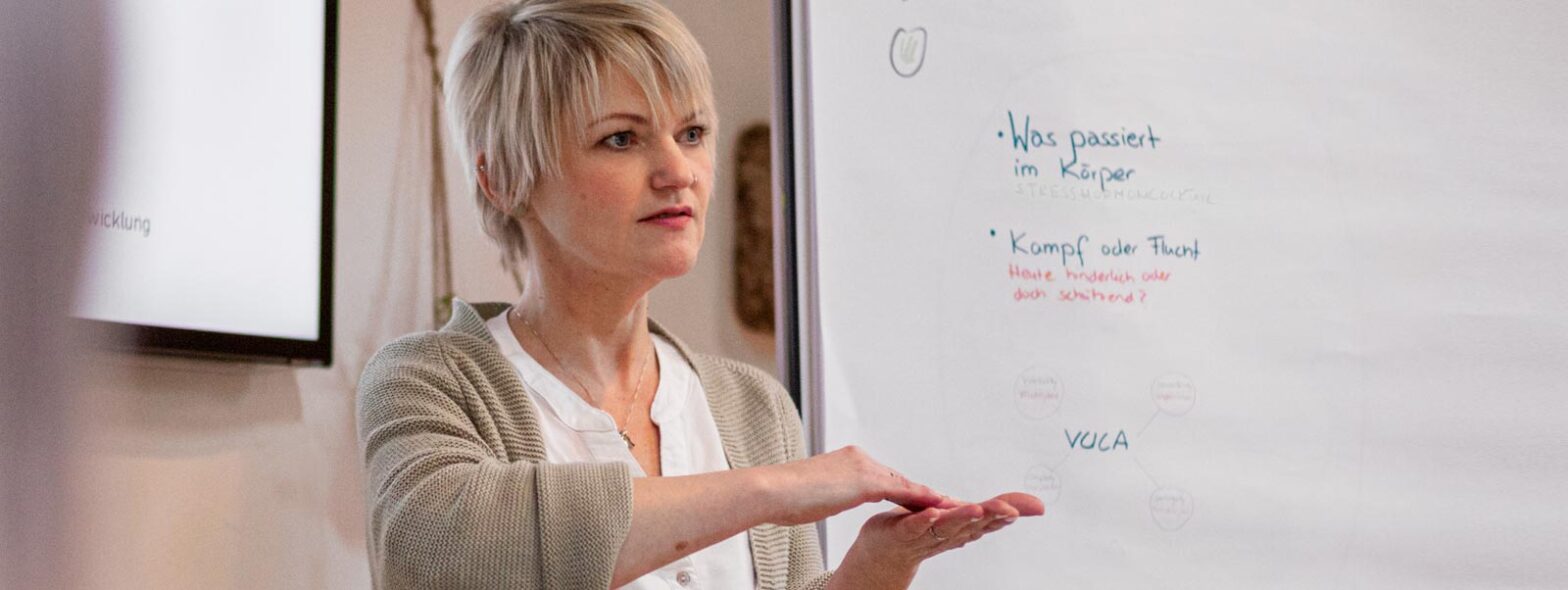 Seminar in Mainz-Kostheim, ich erkläre den Seminarteilnehmern an Hand einer Flipchart die Thematik
